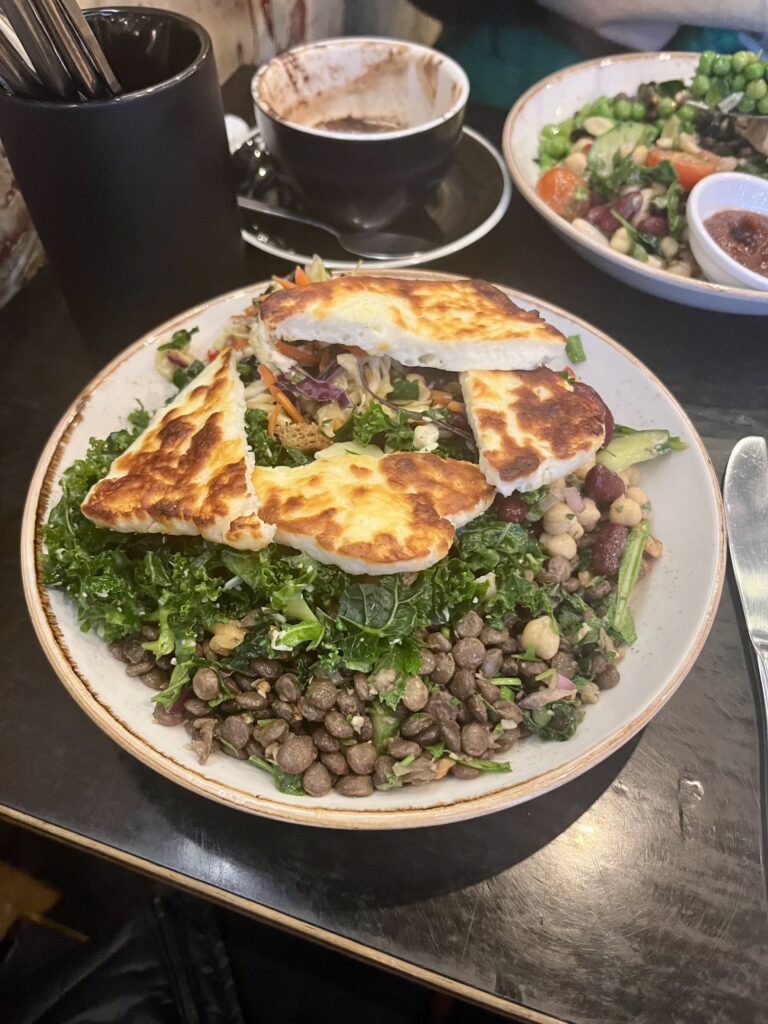 Looking down at a white plate with salad varieties and fried halloumi